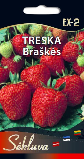 Braškės Treska EX-2