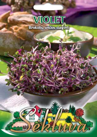 Brokolių sėklos daiginimui Violet (Sodžius)