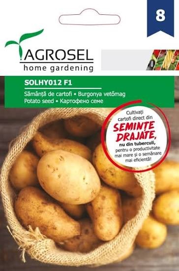 Bulvių sėkos Solhyo12 8s
