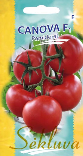 Pomidorai Canova (E grupė)
