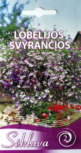 Lobelijos svyrančios Cascade Mix (2 grupė)