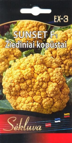 Kopūstai žiediniai Sunset EX-3 15s