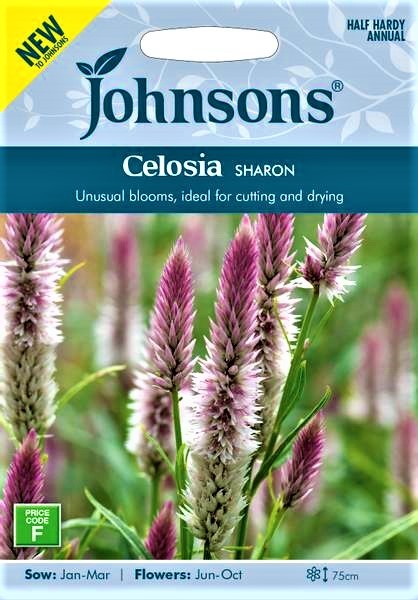 Varpotosios celiozijos Sharon