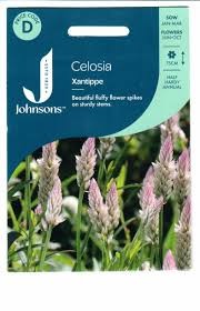 Celiozijos varpotosios Xantipe 200s