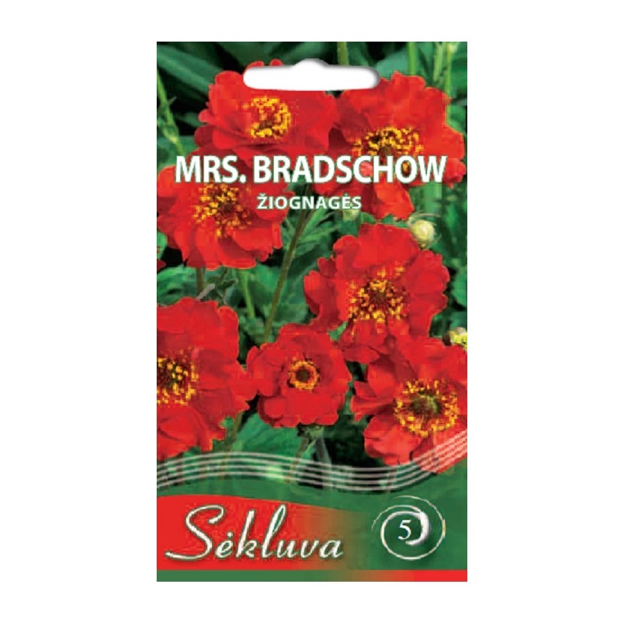 Čilinės žiognagės Mrs. Bradschow 0.3g (5 grupė)