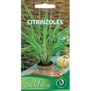 Citrinžolės lankščiosios (1 grupė)