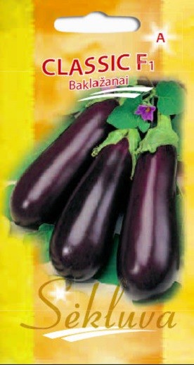 Baklažanai Classic (A grupė)