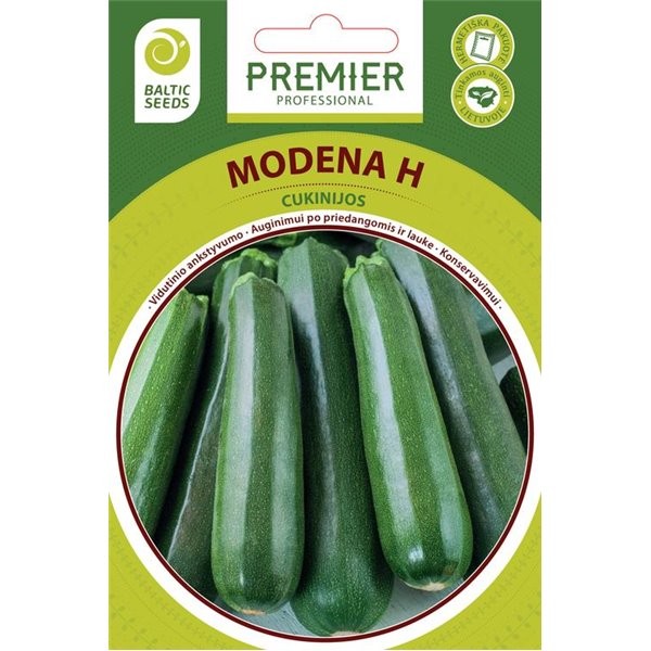 Cukinijos Modena H