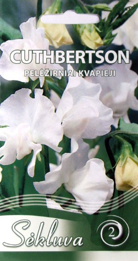 Pelėžirniai kvapieji Cuthbertson (2 grupė)