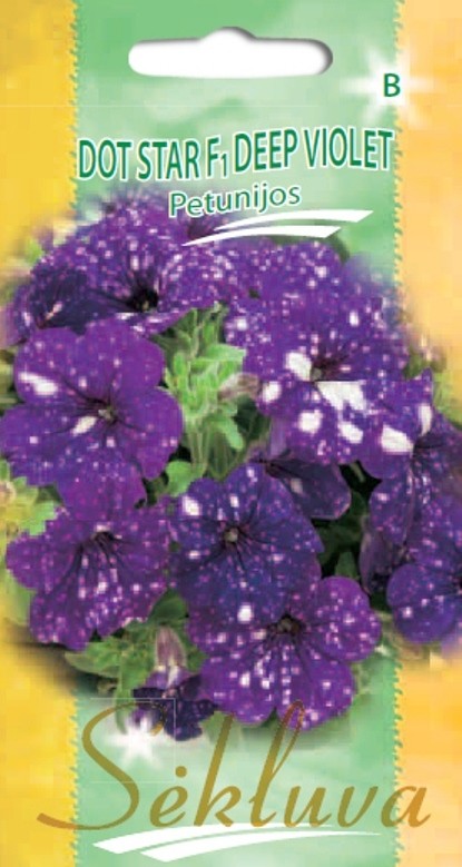 Petunijos darželinės Dot Star Deep Violet (B grupė)