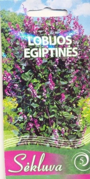 Lobijos egiptinės (5 grupė)