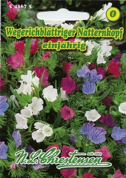 Ežeiniai