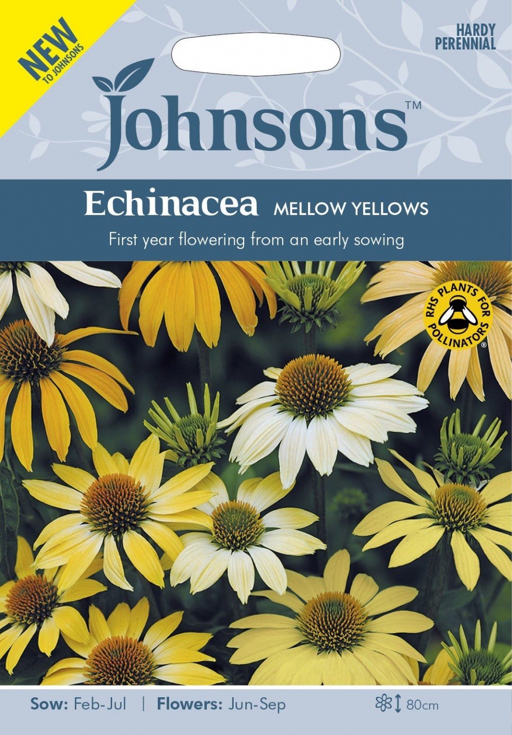 Ežiuolės Mellow Yellows