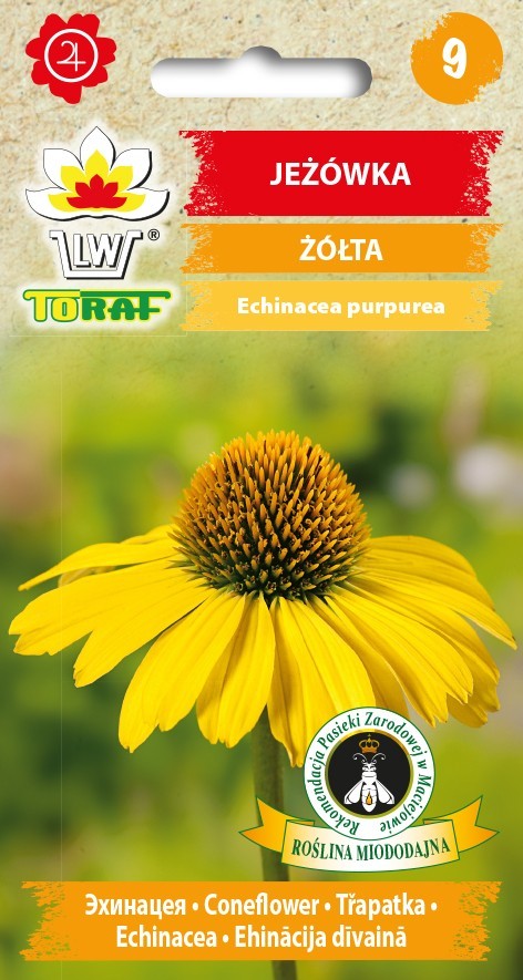 Ežiuolės rausvažiedės (geltonos) 0.2g