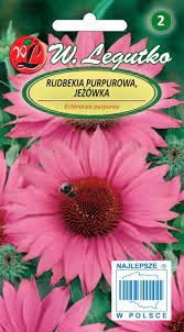 Ežiuolės rausvažiedės Pink