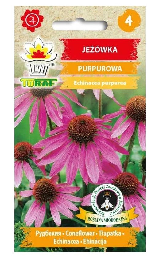 Ežiuolės rausvažiedės