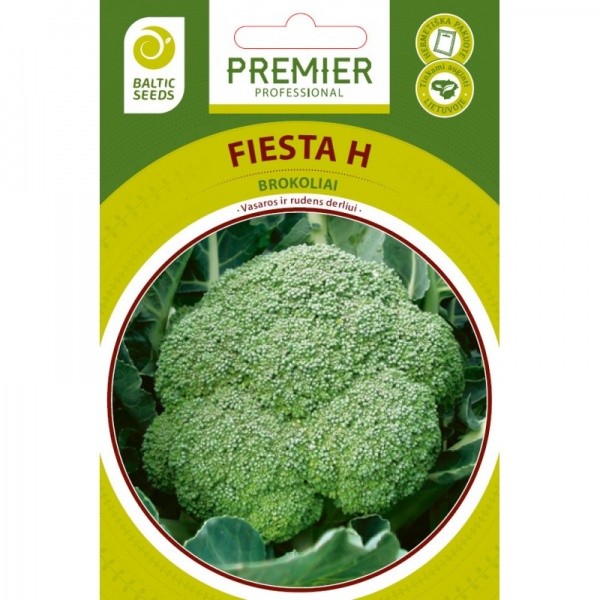 Brokoliai Fiesta H