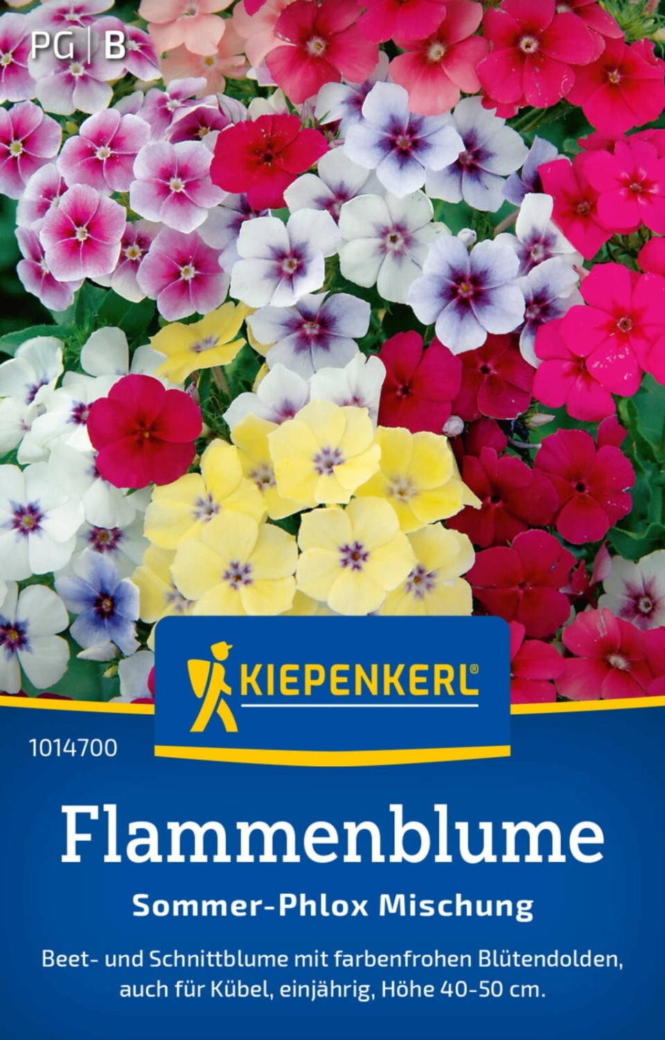 Flioksai vienmečiai (mišinys)