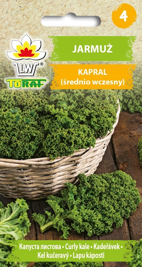 Kopūstai garbanotieji lapiniai Kapral 1g