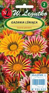 Gazanijos švytinčios (mišinys)