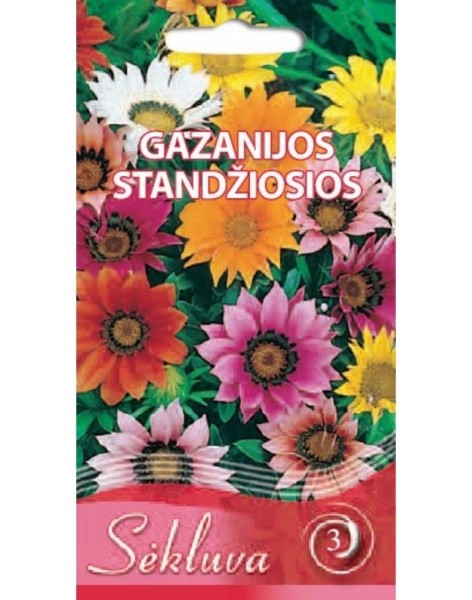 Gazanijos standžiosios Garden Star (3 grupė)