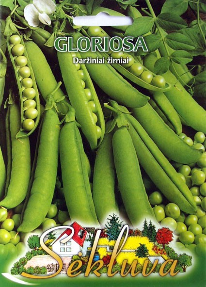 Žirniai Gloriosa (3 grupė)