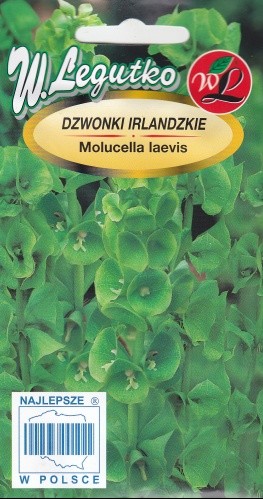 Sraigūnė glotnioji