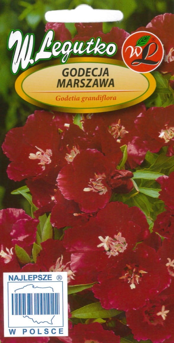 Godecijos stambiažiedės (raudonos)