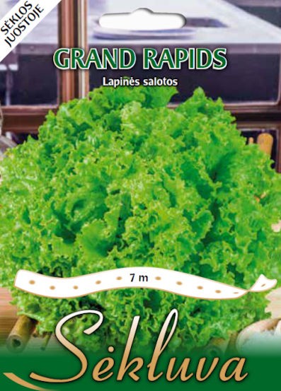 Salotos Grand Rapids (7m juostoje)