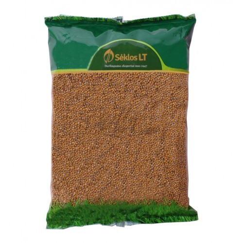 Garstyčios baltosios Braco 1kg