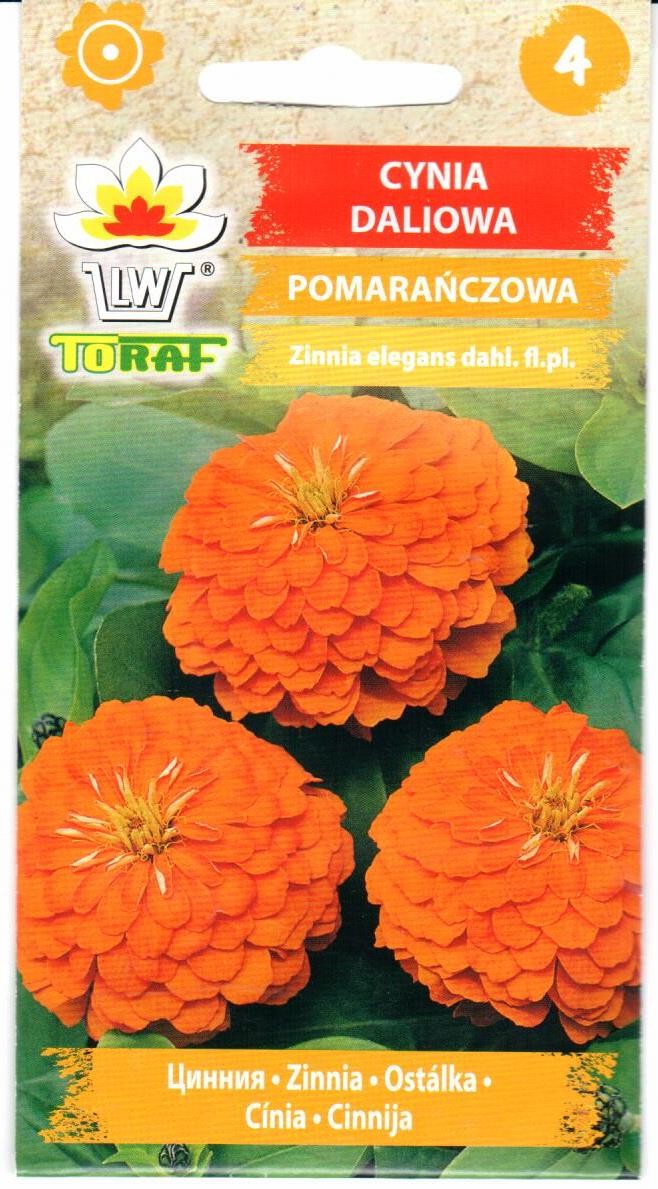 Gvaizdūnės puikiosios (oranžinės) 1g