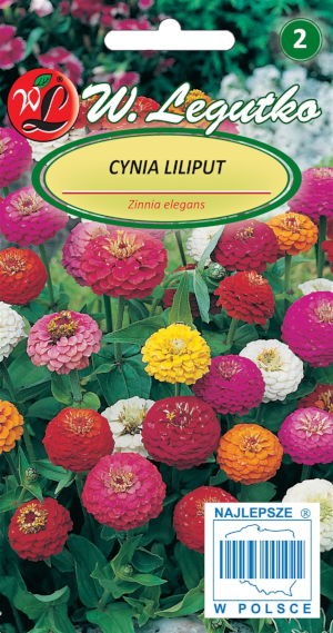 Gvaizdūnės puikiosios Liliput