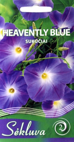 Sukučiai Heavently Blue (2 grupė)