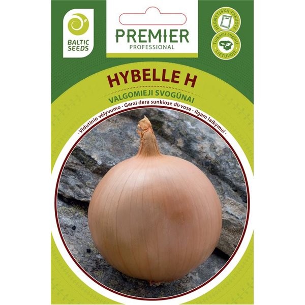 Svogūnai Hybelle H