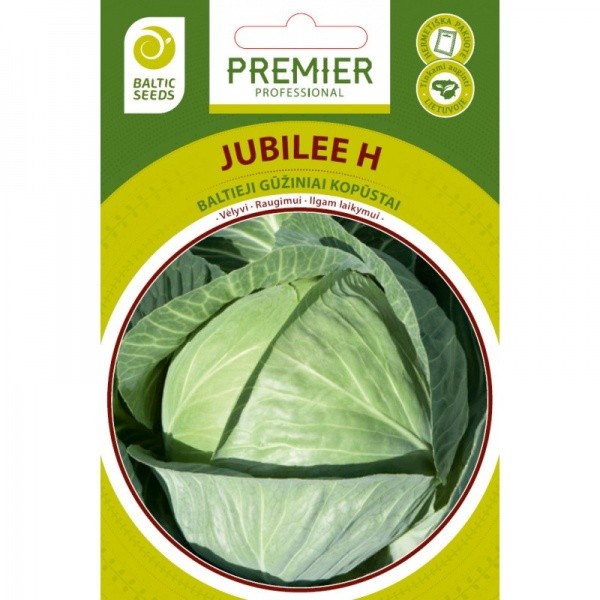 Kopūstai baltagūžiai vėlyvi Jubilee H 45s