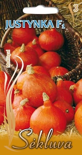 Moliūgai Justynka (3 grupė)