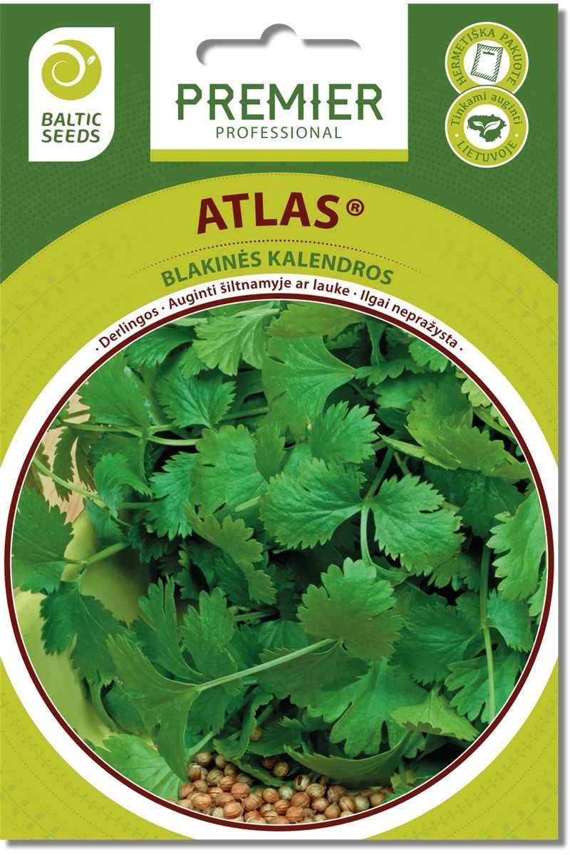 Kalendros blakinės Atlas