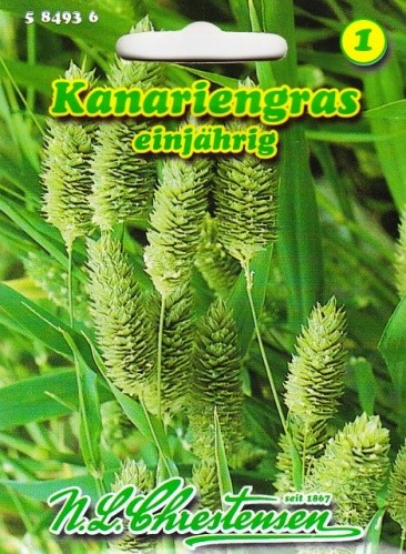 Strypainis kanarinis