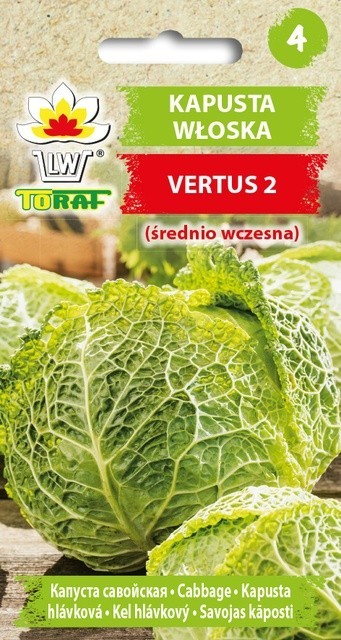 Kopūstai savojiniai Vertus 2
