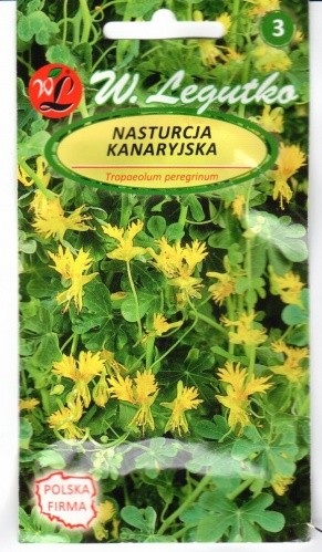 Nasturtės karpytalapės