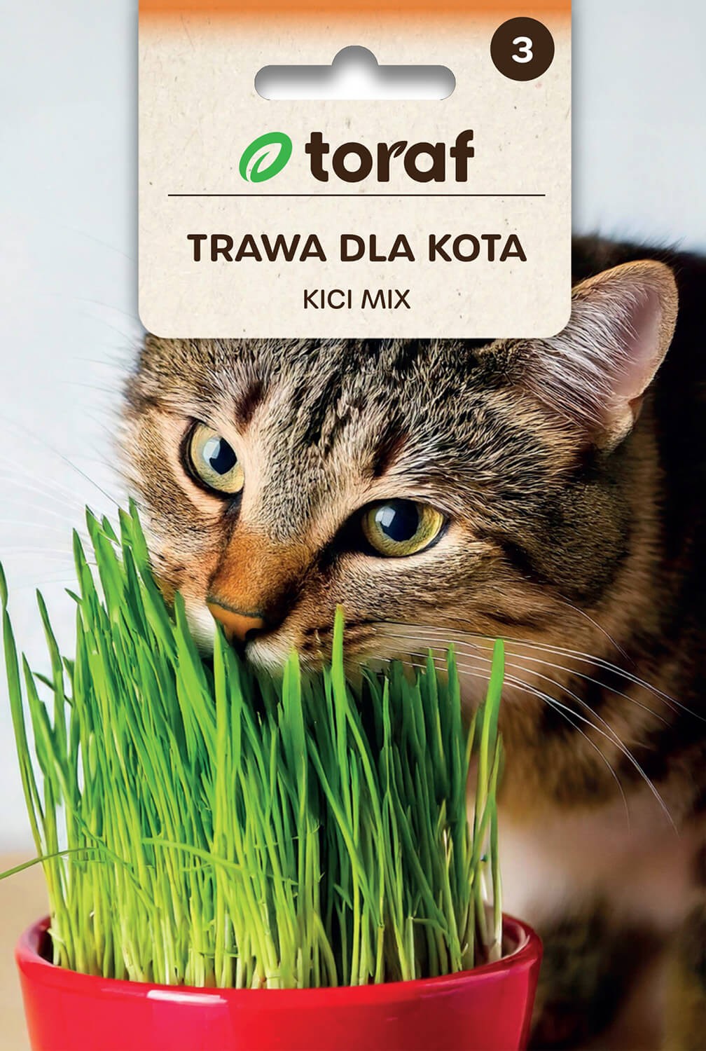 Žolė katėms Kici Mix 30g