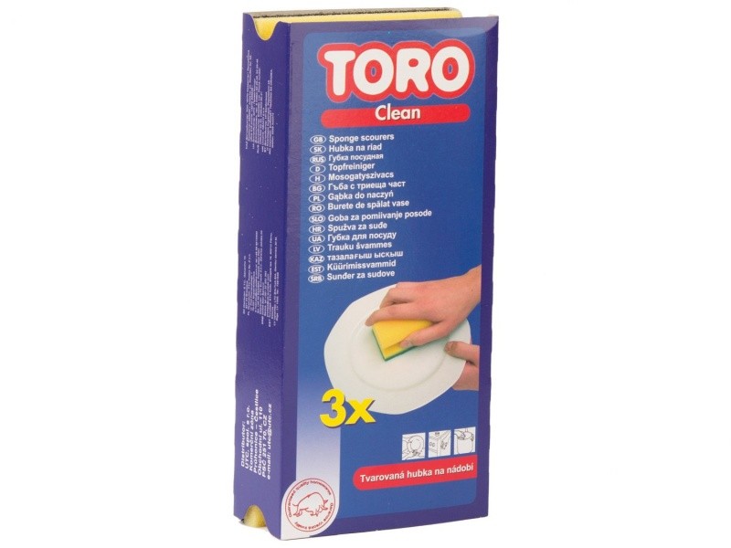 Kempinės šveitimui Toro 3vnt