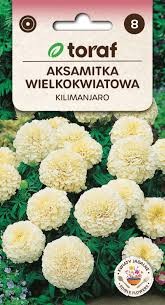 Serenčiai didieji Kilimanjaro 0.3g