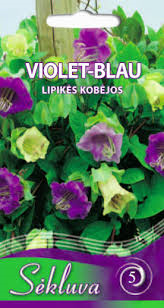 Kobėjos lipikės Violet Blau (5 grupė)