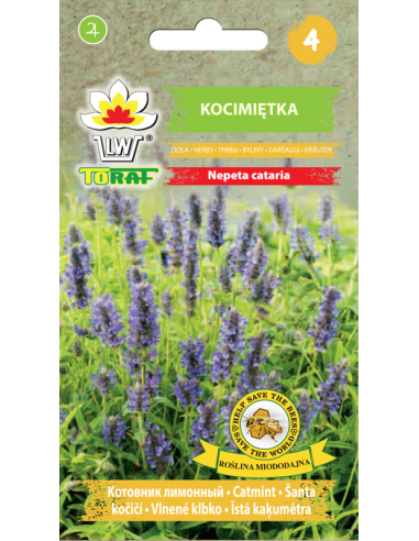 Katžolės paprastosios