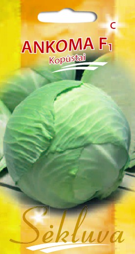 Kopūstai Ankoma (C grupė)