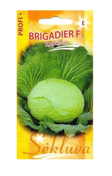 Kopūstai Brigadier (E grupė)