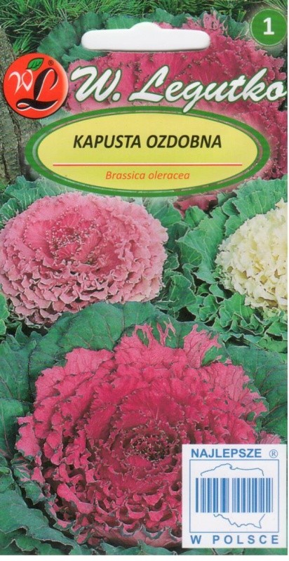 Kopūstai puošnieji