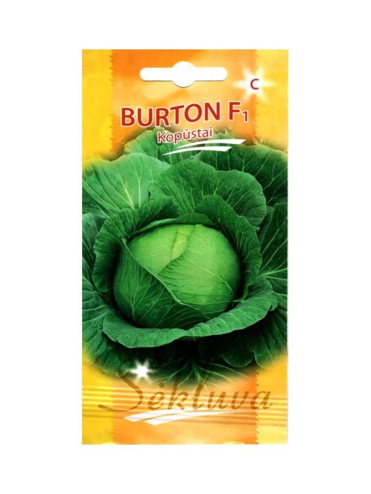 Kopūstai Burton (C grupė)