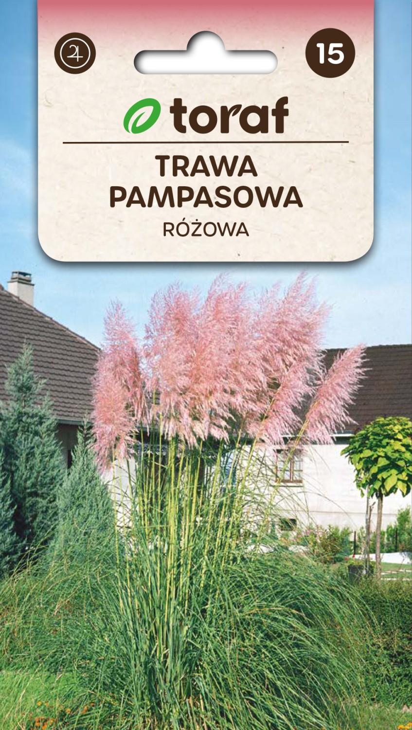 Kortaderijos argentininės Pink (pampų žolė)